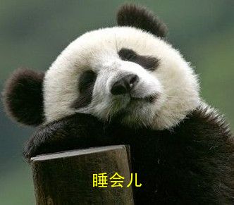 ˯QQ
