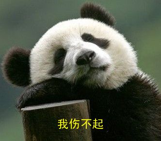 ˲QQ