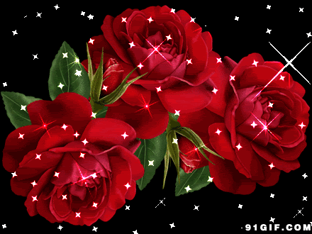 闪亮红色玫瑰花唯美图片