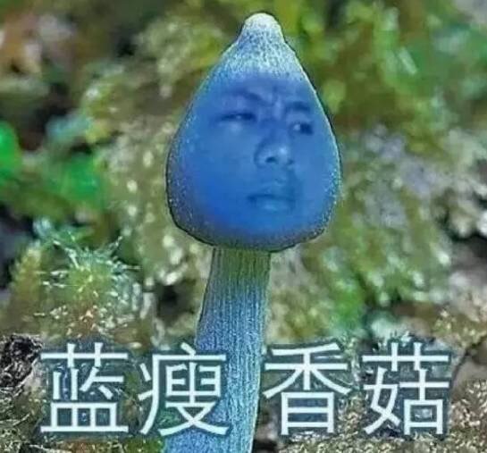 香菇蓝瘦表情图片