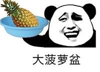 大菠萝盆表情图片