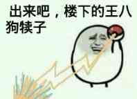出来吧 楼下的王八犊子表情图片:暴走漫画