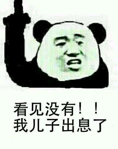 看见没有我儿子出息了表情图片:暴走漫画