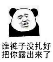谁裤子没扎好把你露出来了表情图片:暴走漫画