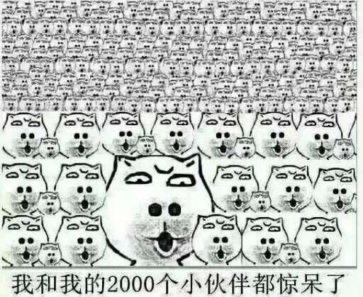 我和我的2000个小伙伴都惊呆了表情图片