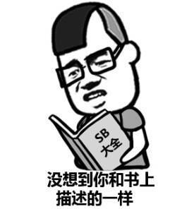 SB大全 没想到你和书上描述的一样表情图片:暴走漫画