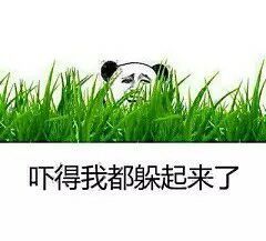 吓的我都躲起来了表情图片:暴走漫画