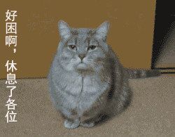 好困啊，休息了各位猫猫表情图片:暴走漫画,猫猫