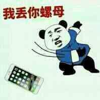 我丢你螺母表情图片:暴走漫画