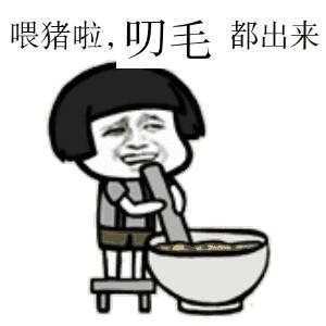 喂猪了 叼毛 斗出来表情图片:暴走漫画