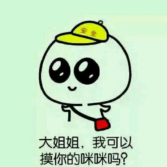大姐姐 我可以摸你的咪咪吗表情图片:暴走漫画