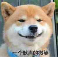 一个耿直的微笑狗头表情图片