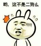 吆！这不是二狗吗表情图片:暴走漫画,金馆长