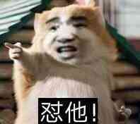 怼他暴走漫画表情图片:暴走漫画,金馆长