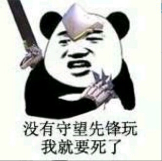 没有守望先锋玩我要死了啊表情图片:玩游戏
