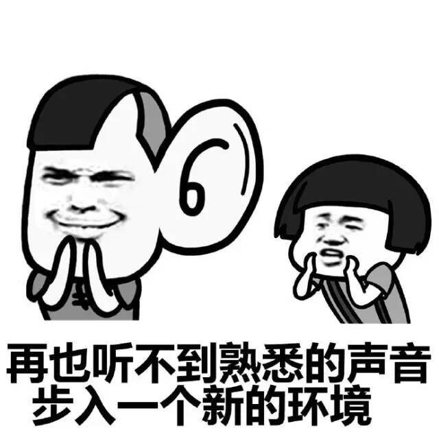 再也听不到熟悉的声音步入一个新的环境表情图片