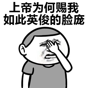 上帝为何赐我如此英俊的脸庞表情图片
