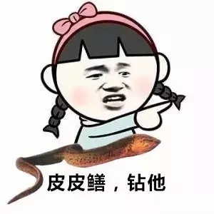 皮皮鳝钻她表情图片:皮皮鳝