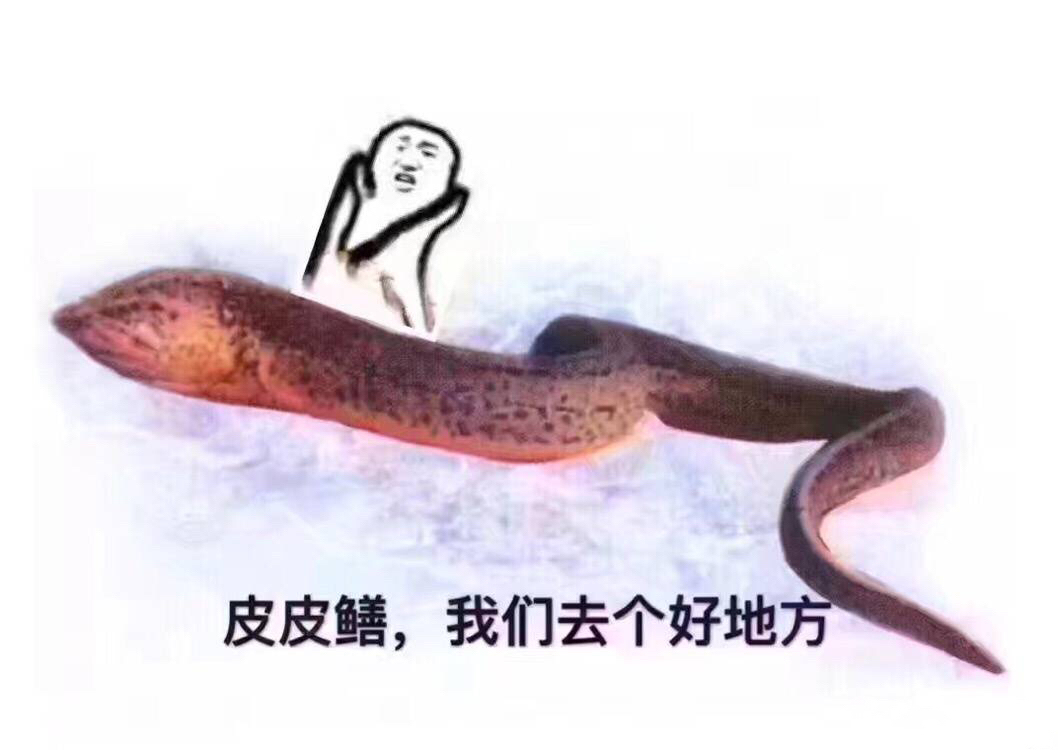 皮皮鳝我们去个好地方表情图片:皮皮鳝