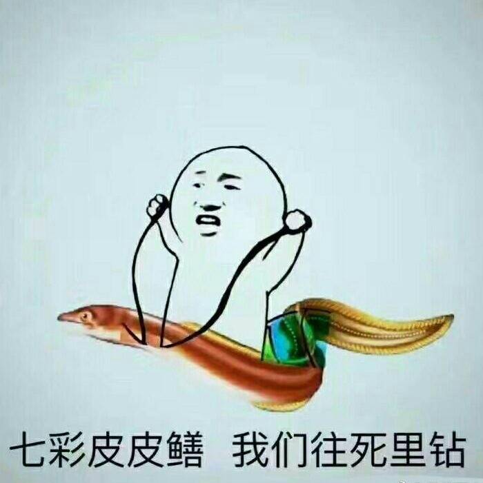 皮皮鳝我们往死里钻呀表情图片:皮皮鳝