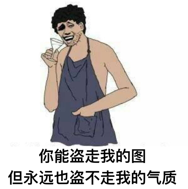 你能盗走我的图，但你永远盗不走我的气质啊表情图片:盗图