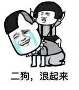 二狗，浪起来表情图片