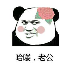 哈喽 老公表情图片:老公
