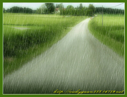 雨天公路图片