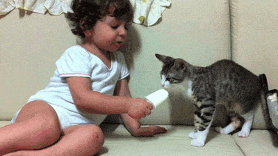 猫跟小孩吃雪糕图片: