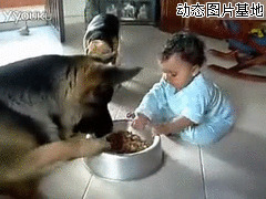 宝宝与狗狗抢食吃动态图片