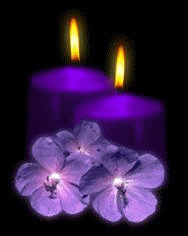 紫色蜡烛图片: