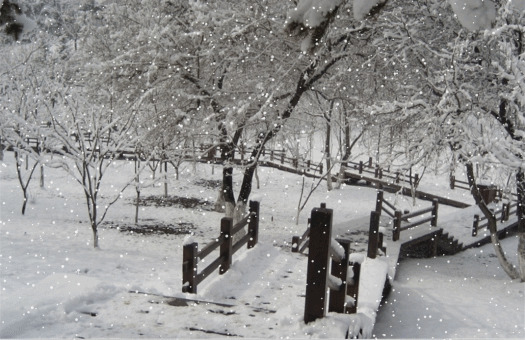 最美唯美雪景图片: