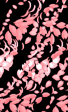 樱花飘落的动态图片