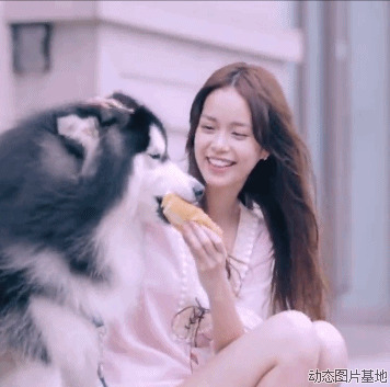 狗狗吃面包动态图片: