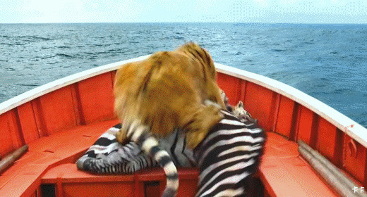 考虎咬斑马动态图片