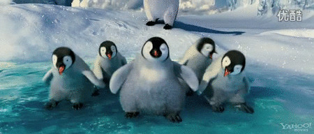 快乐的企鹅动态图片:
