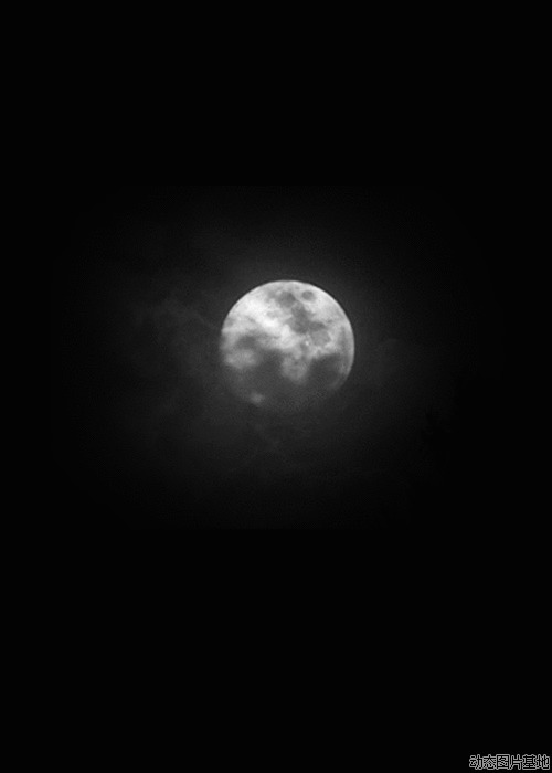 乌云遮住月亮图片