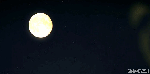 月光与流星图片:月光