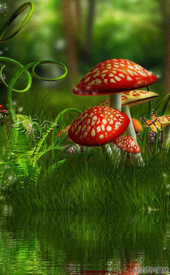 蘑菇蝴蝶动态图片