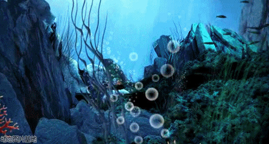 梦幻海底世界图片