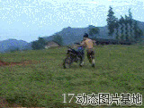 摩托车失误搞笑视频图片