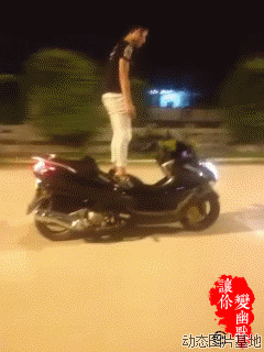 摩托车特技视频图片:摩托车,