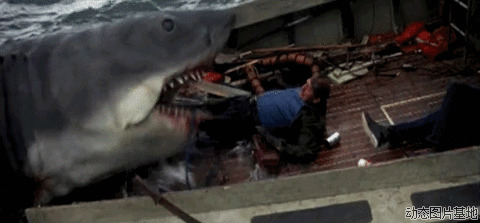 大鲨鱼吃人图片:鲨鱼,恐怖,