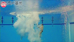 高台跳水视频图片