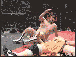 日本搞笑摔跤图片:打架,