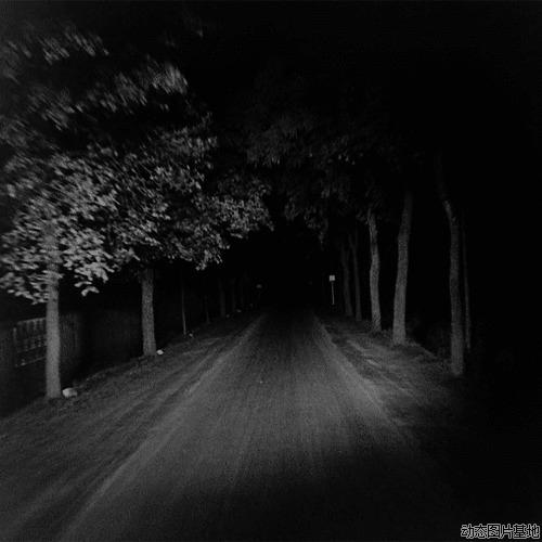 黑夜行车图片:车,风景,黑白,恐怖,