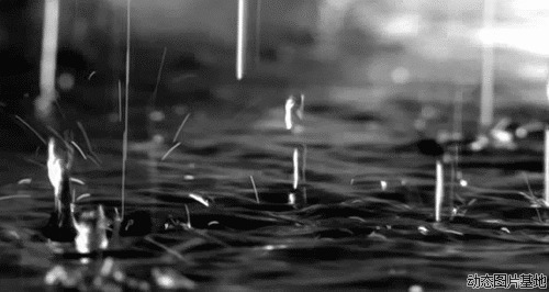 动态水滴图片:水滴,唯美,黑白,梦幻,风景,