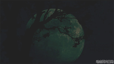 月黑风高的晚上图片