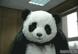 大熊猫图片:熊猫,搞笑,影视,