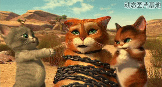 加菲猫1电影图片:加菲猫,搞笑,可爱,动物,   
